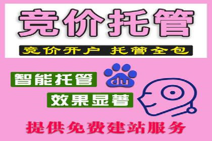 如何在竞争激烈的市场中做好SEM——案例分析